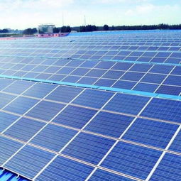 國龍光伏發電加盟 投資成本與加盟優勢全面解析